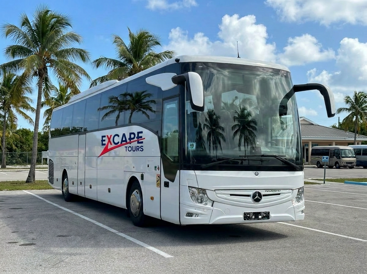 Bus (55 pax)
